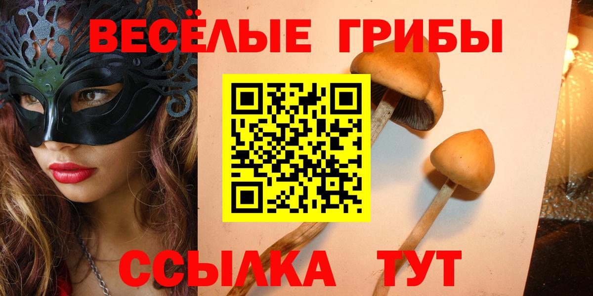 купить   Псилоцибиновые грибы MAGIC MUSHROOMS  Вход с VPN  Галлюциногенные грибы мицелий  Мценск 